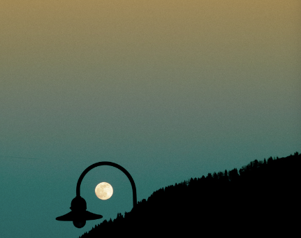 La luna y el tejo / Sylvia Plath