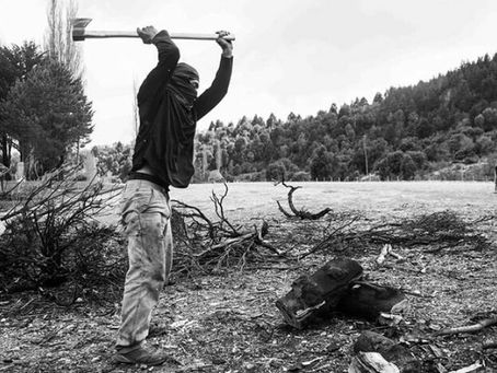 Volver a escuchar las composiciones de lo vivo / Ezequiel Buyatti