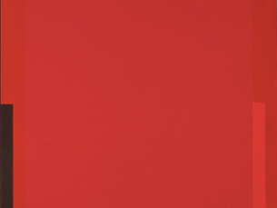 Adelante! espíritus feroces / Santiago Maldonado