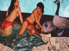 Gansos Salvajes / Mary Oliver