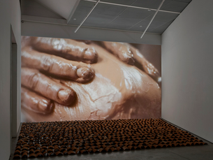 Gladis Cáceres. Esbozo de una vida viva 4: Un viaje a la independencia/ Oriana Seccia