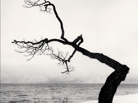 Torpeza elemental / v. Nicolás Koralsky