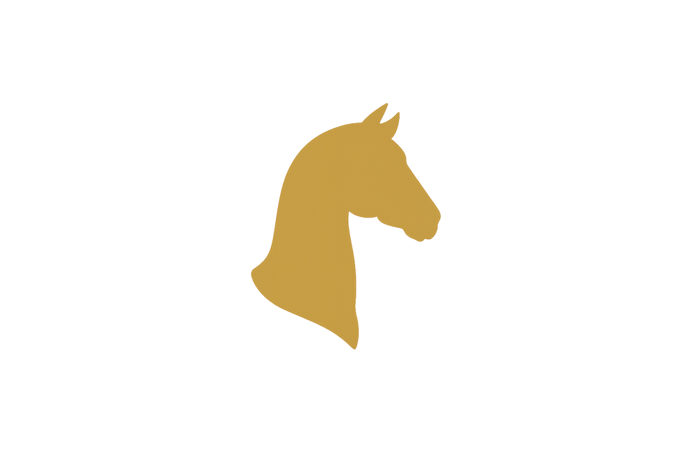 1721DD28-BC9A-4105-919A-470D8D944AB4.png