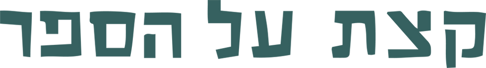 קצת על הספר.png