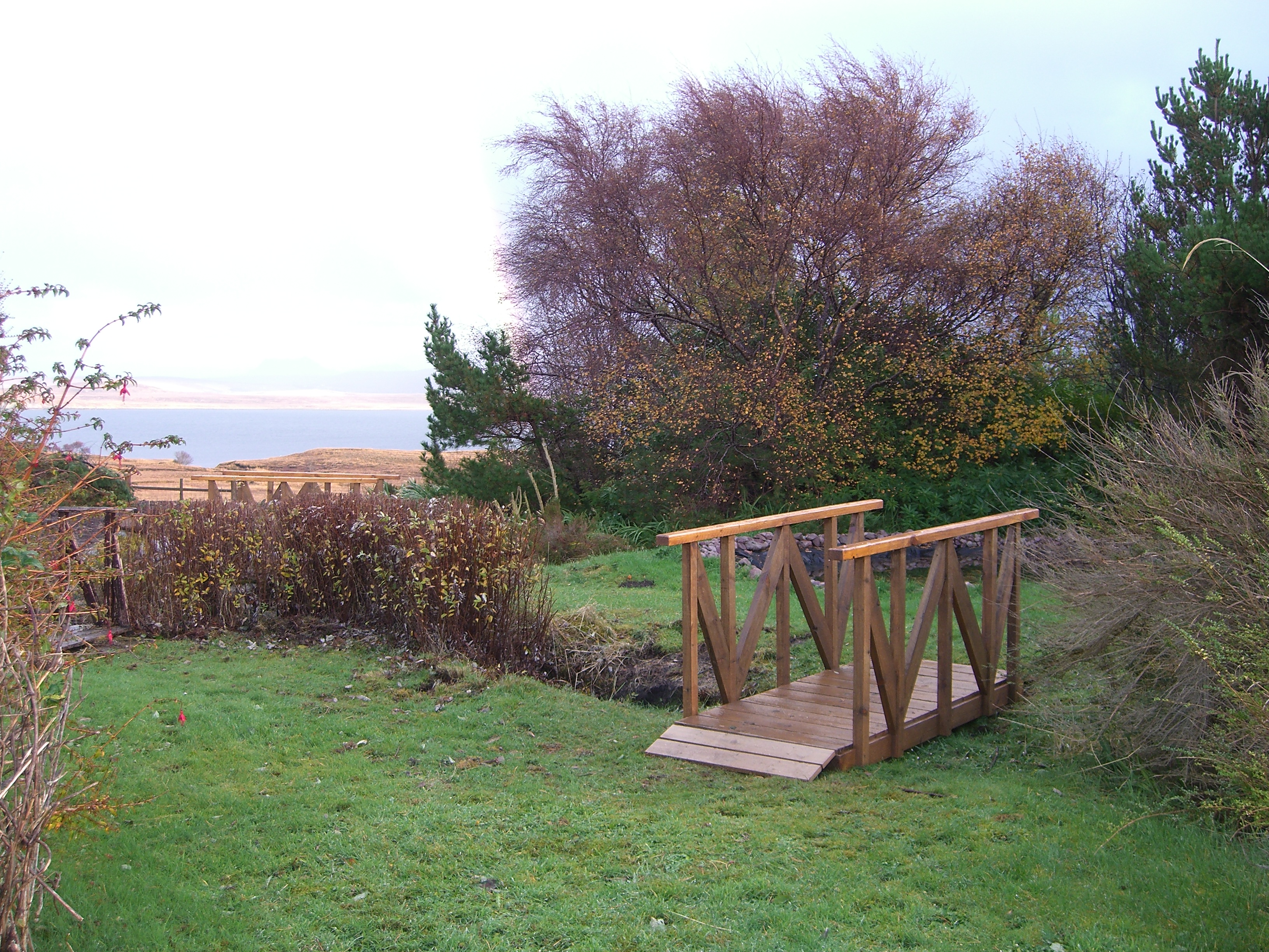Pond area