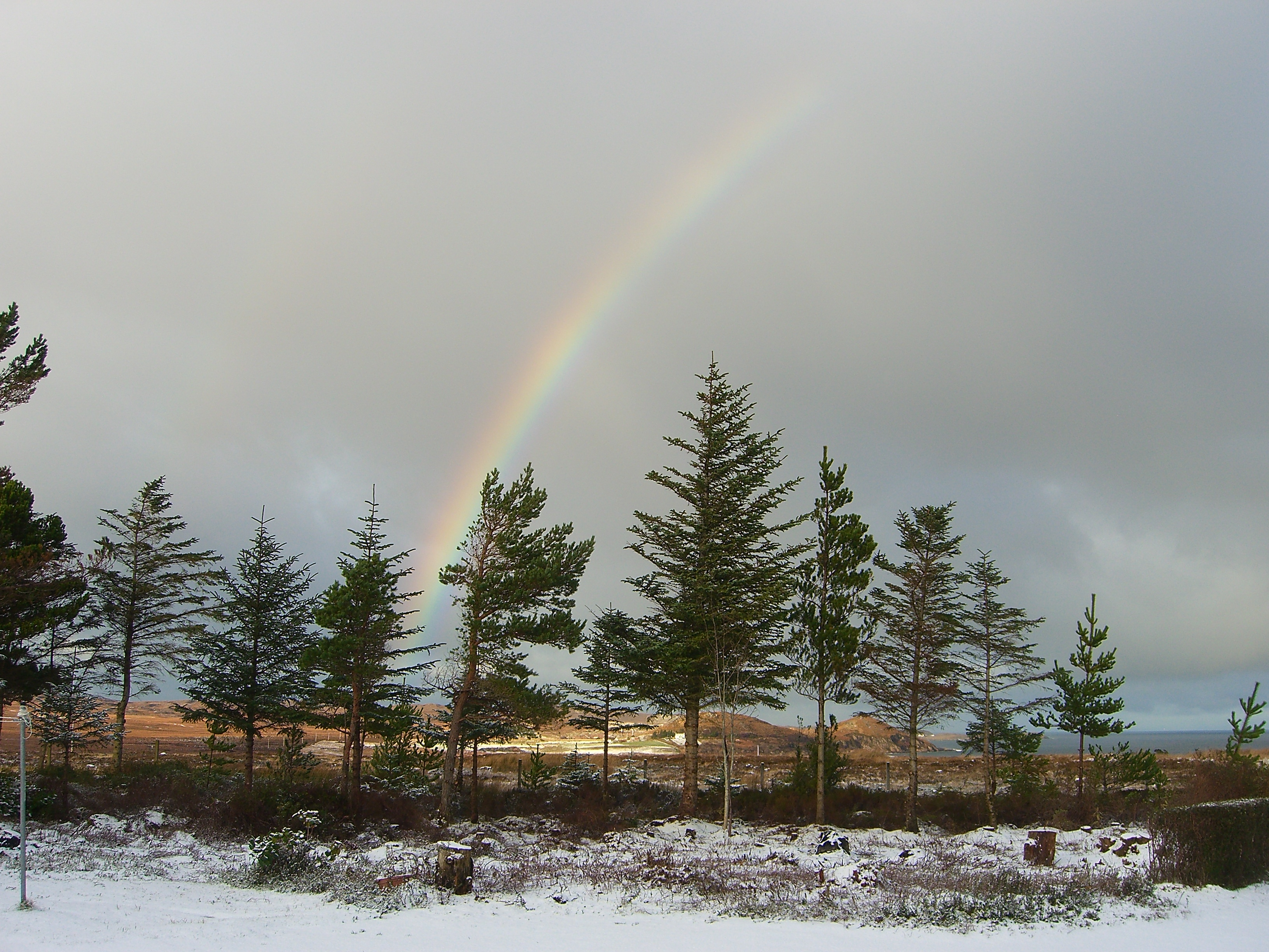 Wintertime (2)