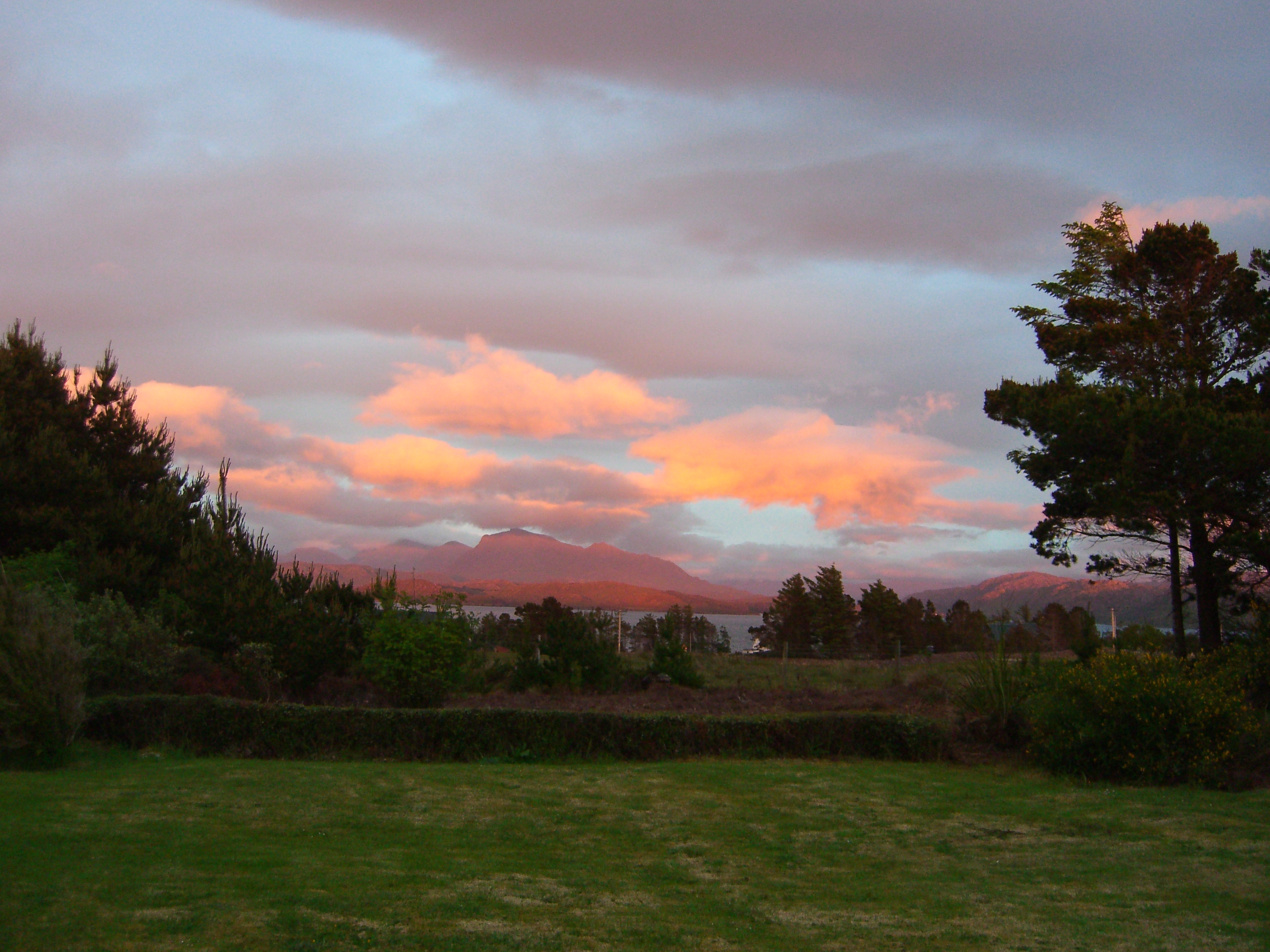 Summer evening