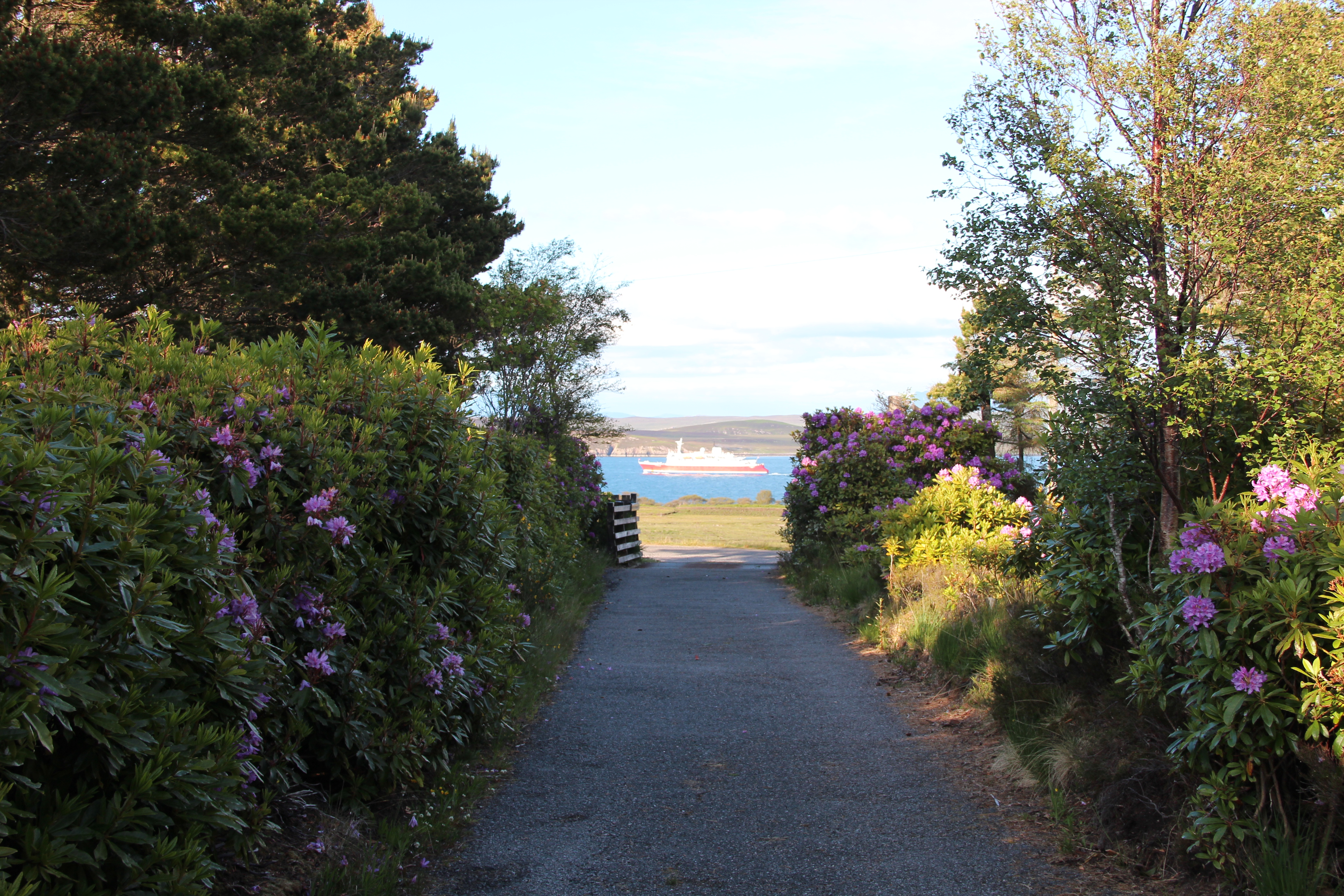 Driveway