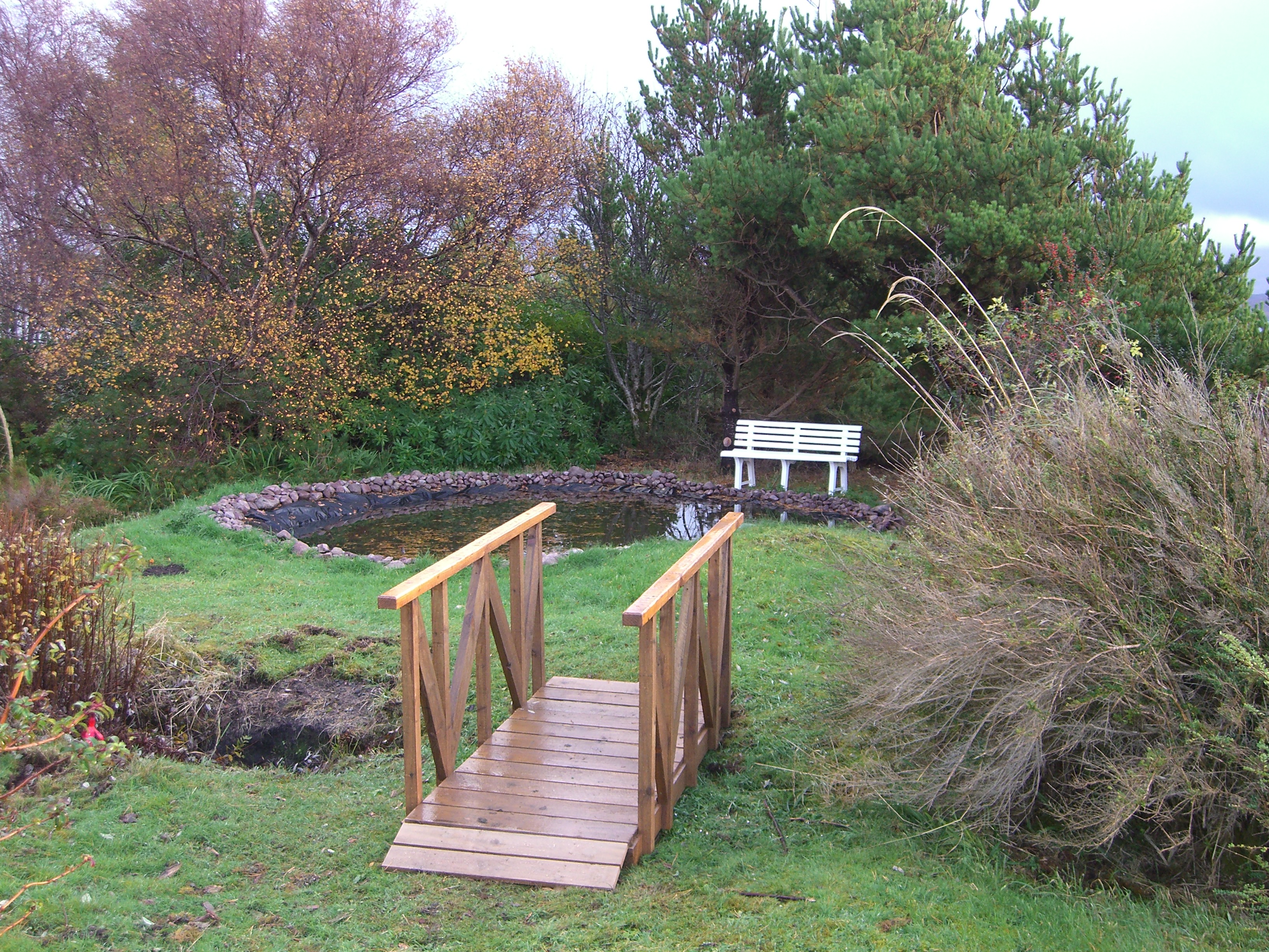 Pond area