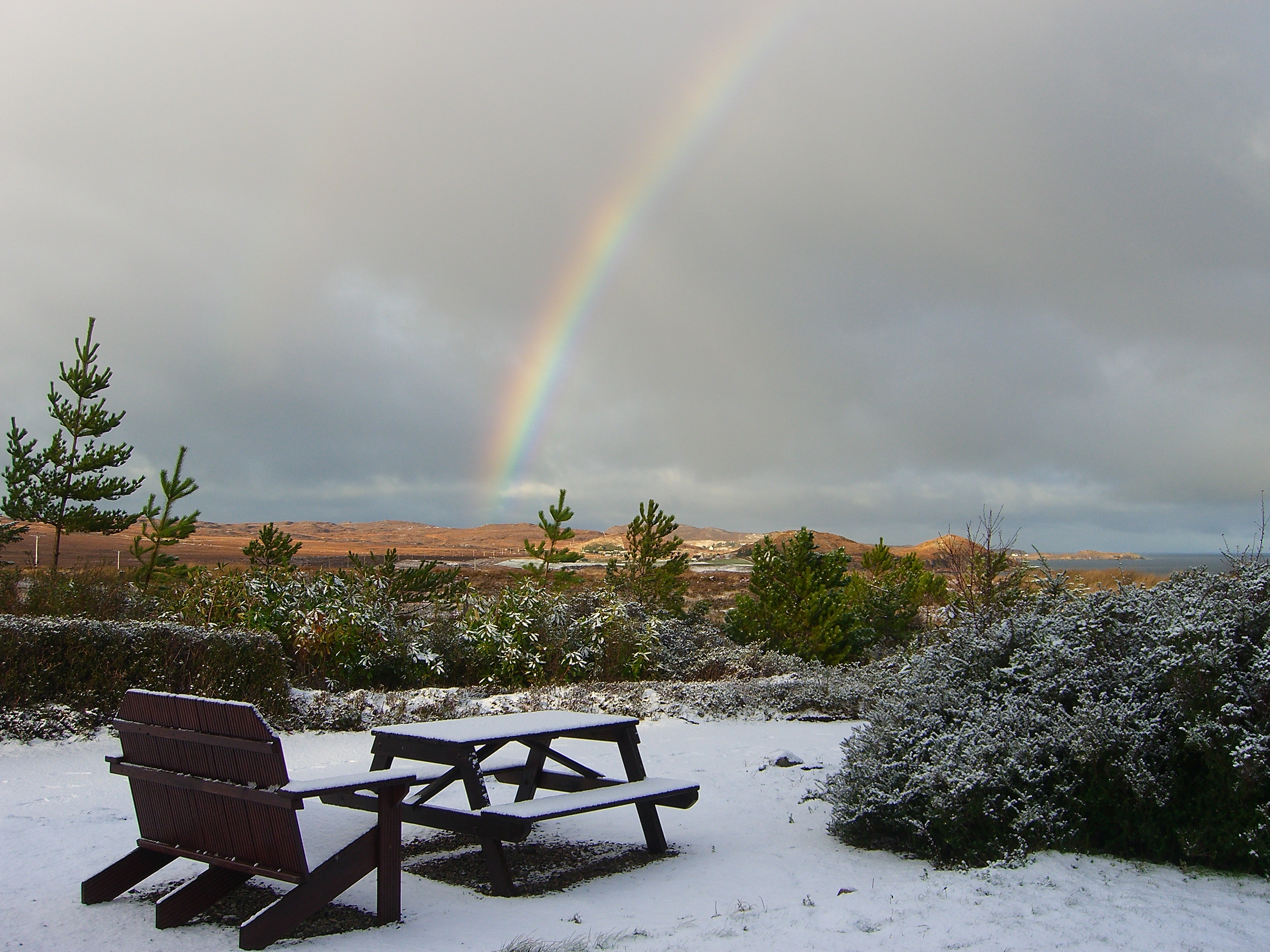 Wintertime (1)