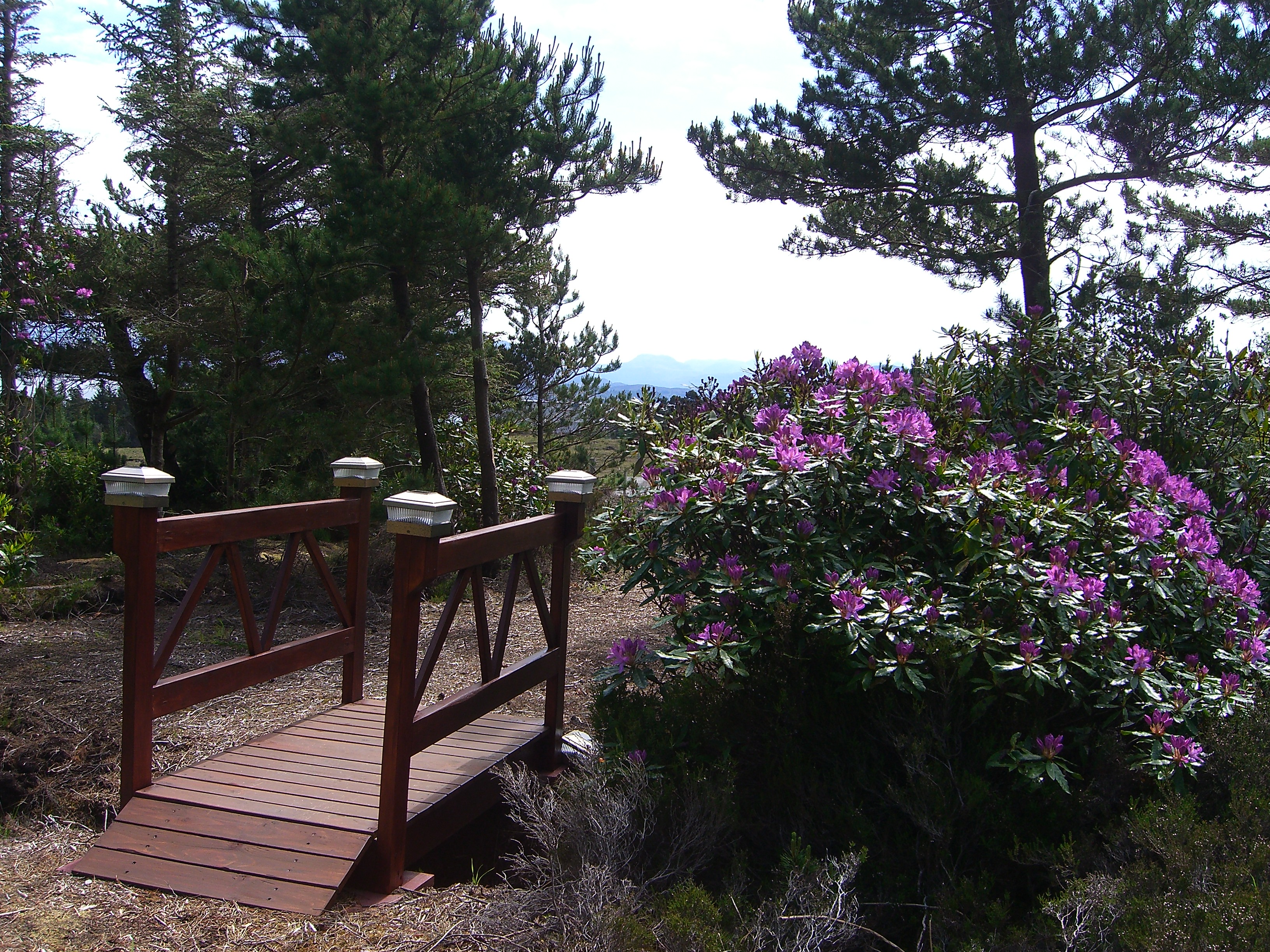 Footbridge