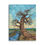 Thumbnail: Family Juniper Canvas Print