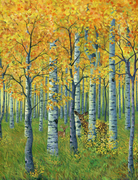 Hidden in the Birches