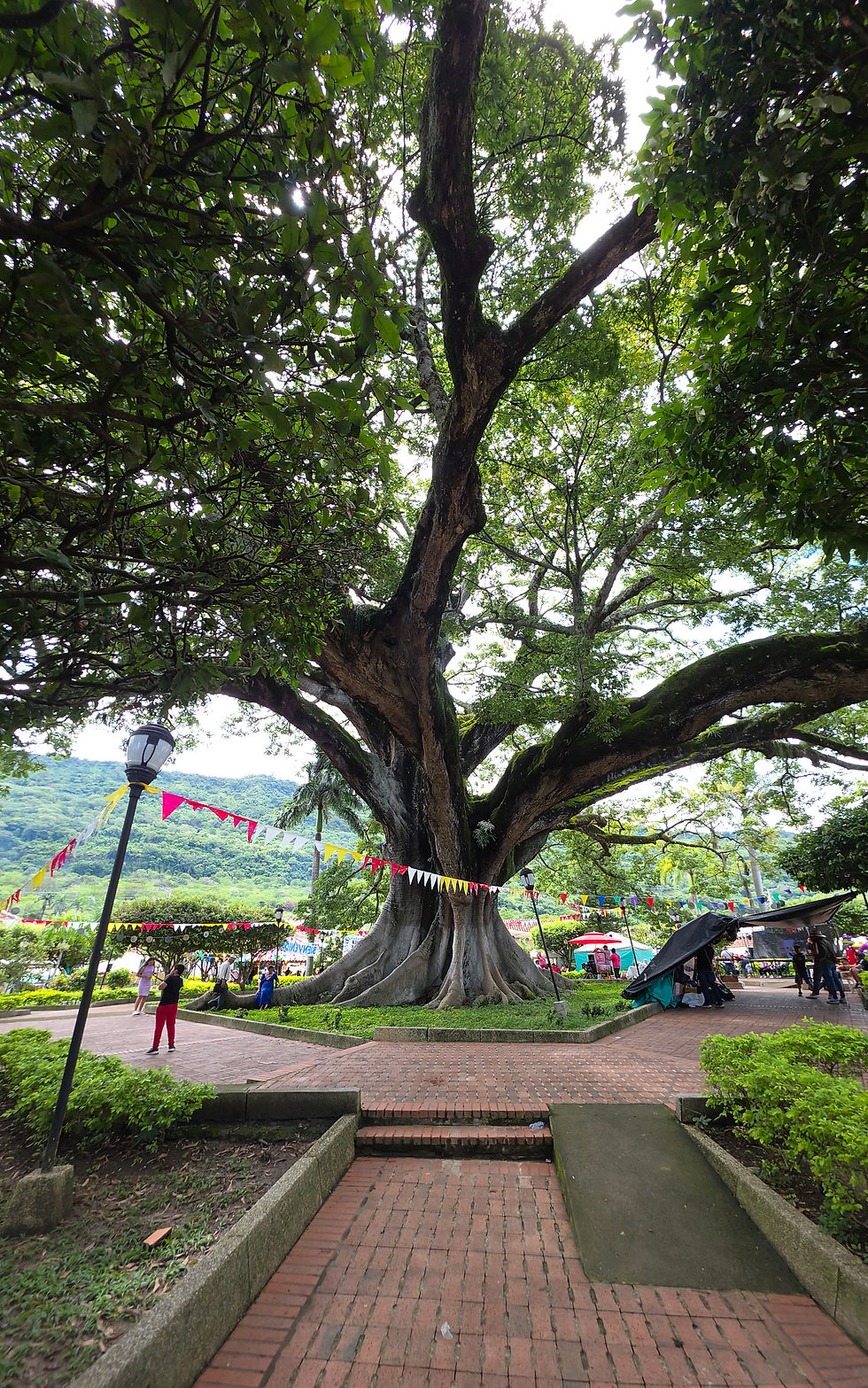 B&B Buenavista Barichara
