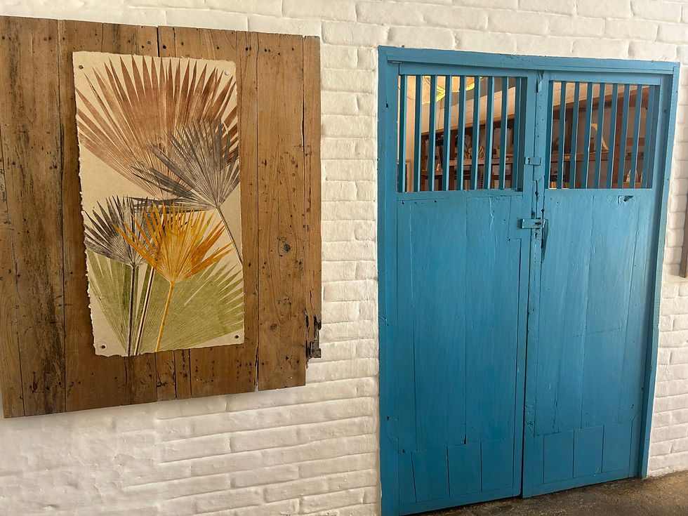 historic stone path Camino Real Colombia, hikers walking ancient indigenous trade route, canyon views