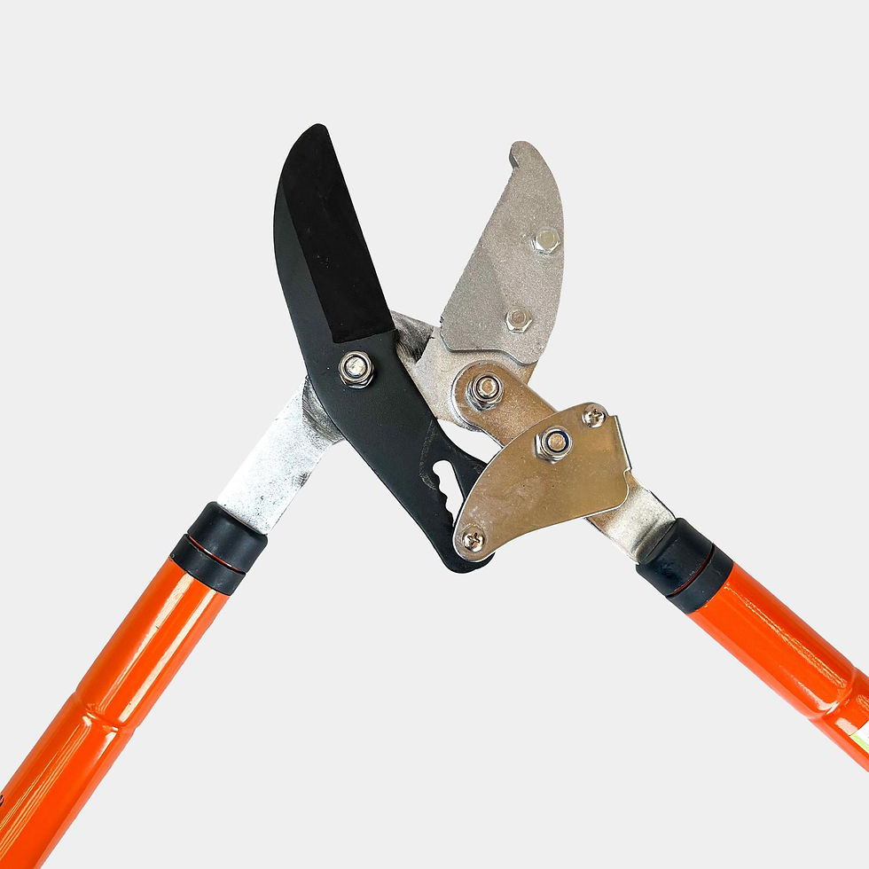 Thumbnail: Green Blade Telescopic Ratchet Lopping Shears