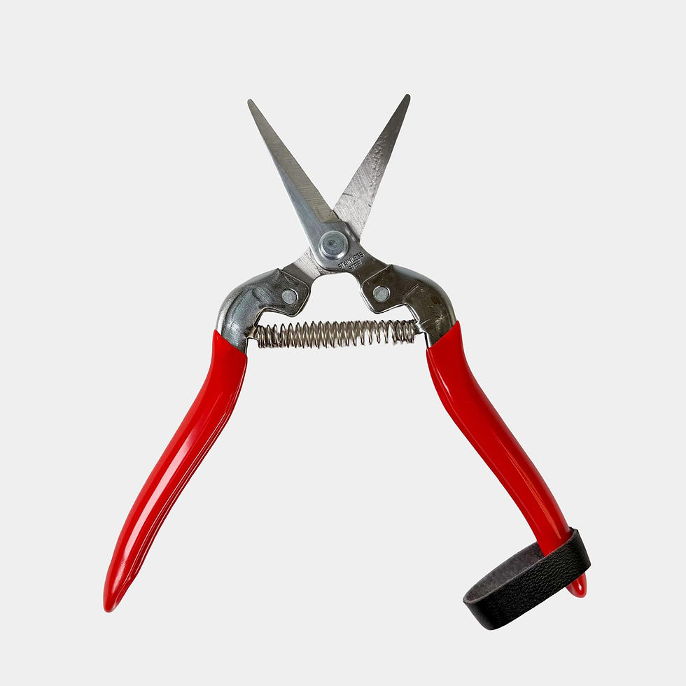 Thumbnail: Greenman Floral Straight Pruner