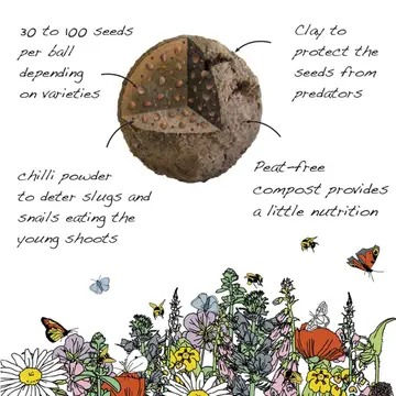 Thumbnail: Hedgehog Mix Seedball Tin