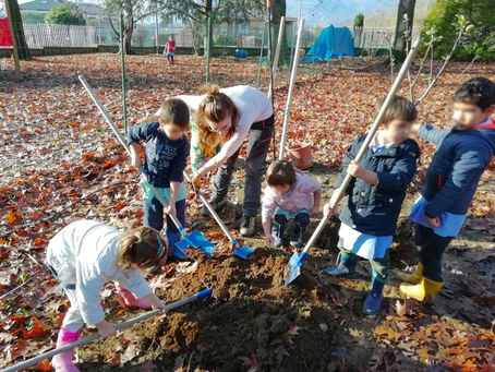 Pianto alberi con i bambini della Scuola materna di Pavignano