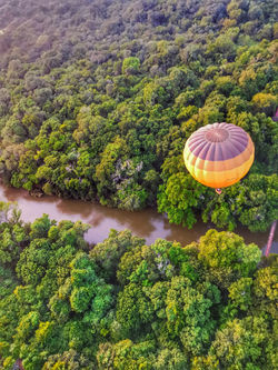 Sun Catchers Hot Air Ballooning