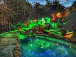 Mali Mali Safari Lodge Unique Cocktail Bar