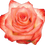 Thumbnail: Rose Blush (Blush de los Andes)