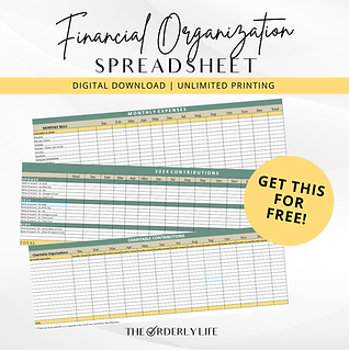 Financial Organization Spreadsheet