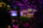 newforesteventlighting 067