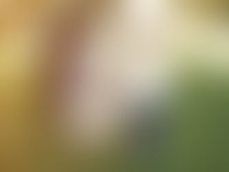 Summer Childcare - Full-Time and Part-Time Flexibility with Safety