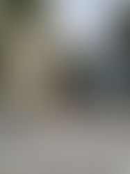 Exploring the Georgetown Neighborhood in DC: A Gem of a Design Hub 274 Years in the Making