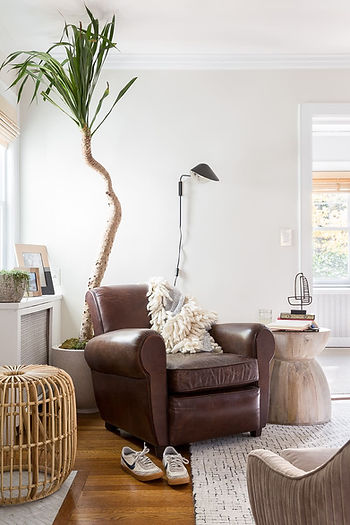 Contemporary living room design with brown leather couch and greenery