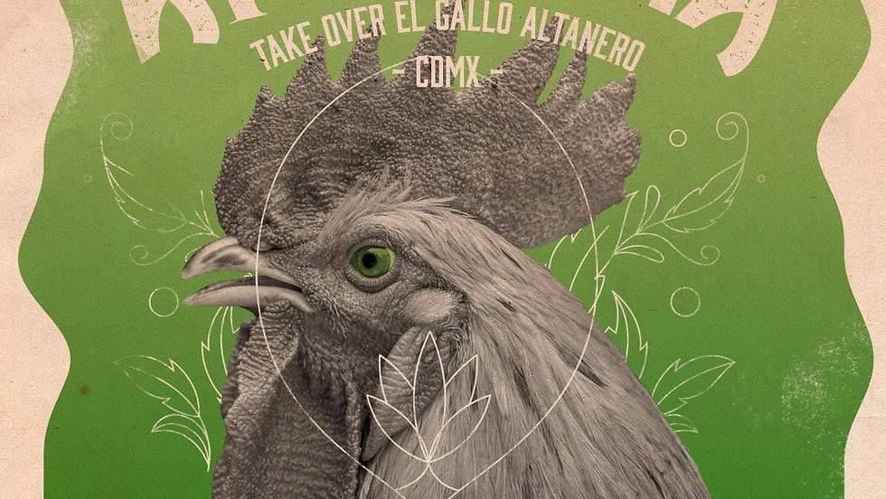 Artemisia takes over Gallo Altanero