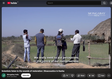 Scientists listen to the sounds of restoration | Bioacoustics in Kanha | Mongabay India