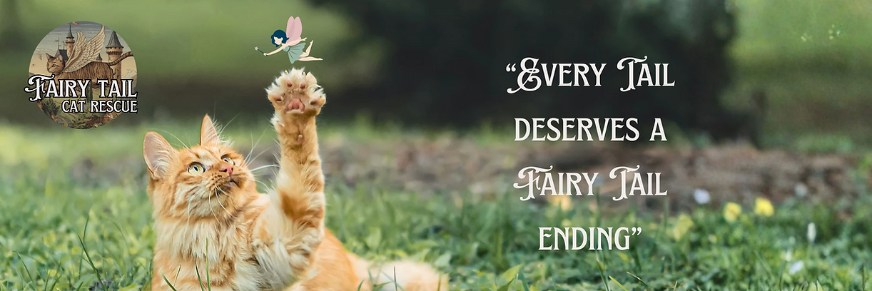 Screenshot 2025-10-09 at 12.17.29 PM.png