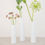 Thumbnail: A Poetic Space set of 3 Mini Vases