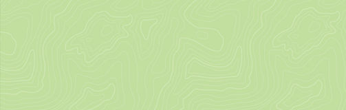 verde claro.jpeg