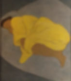 Boncompain, Pierre Peignoir Jaune (0017)