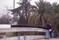 puente_scl_03_edit_crop_700