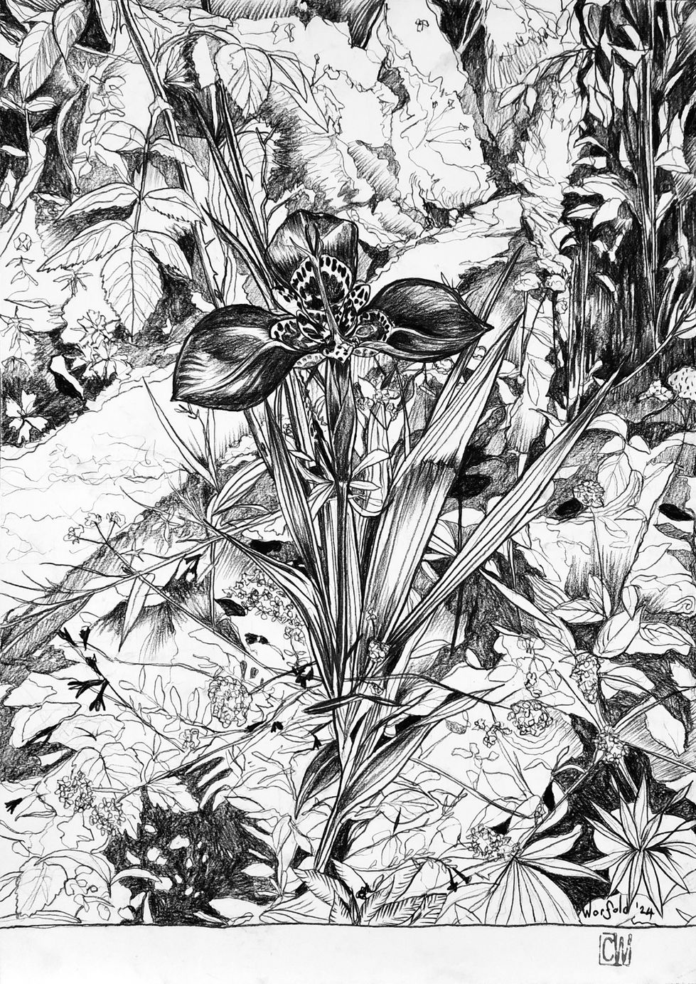 Monet's Flower.jpg