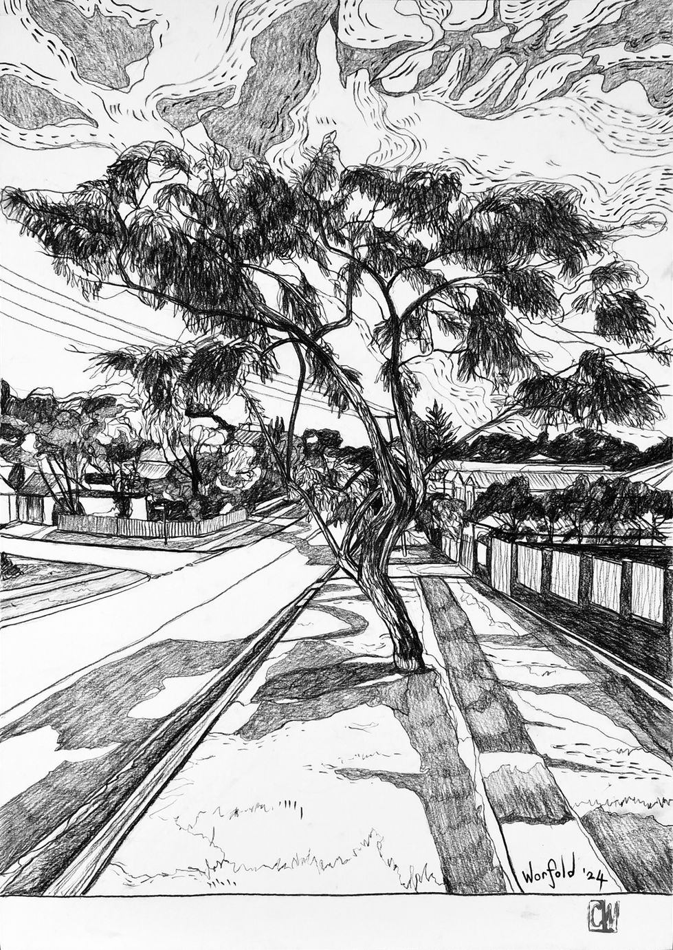 Jacaranda.jpg