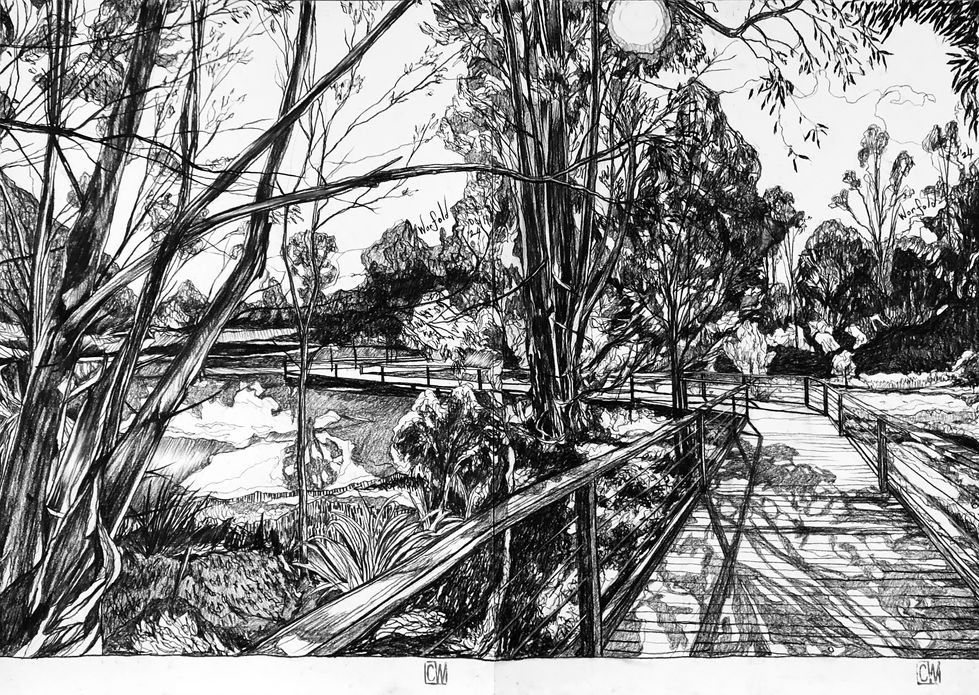 Pond I.jpg