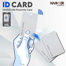 ID-card20_F01_PA.jpg