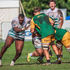 Rassie Erasmus praises Sables: Zimbabwe have ‘quality players’