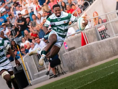 Harlequins snap up Zimbabwe winger Sigauke