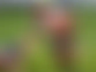 Mafura departs Lions after asking to leave, star fullback to join Sables camp