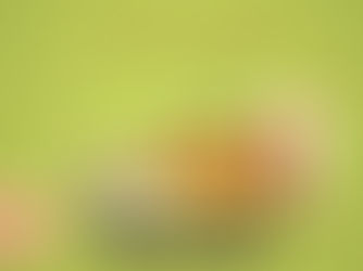 Join Our Healthy Cooking Workshop!