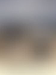 On Breyten's Path - A musical journey