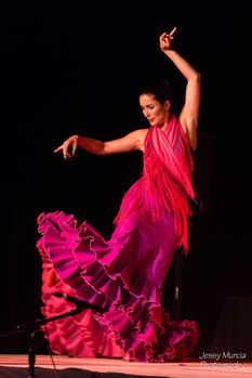 PHOTOS "TODO FLAMENCO" À CARRY-LE-ROUET