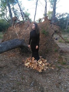 Video Solo "Fuera de flamenco"