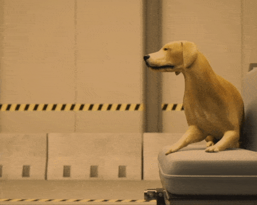 ezgif.com-optimize (2).gif